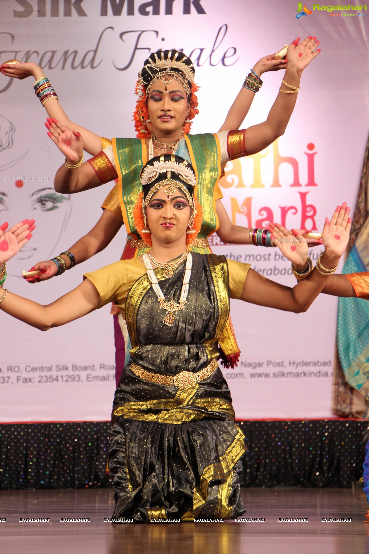 Srimathi Silk Mark 2014 Grand Finale, Hyderabad