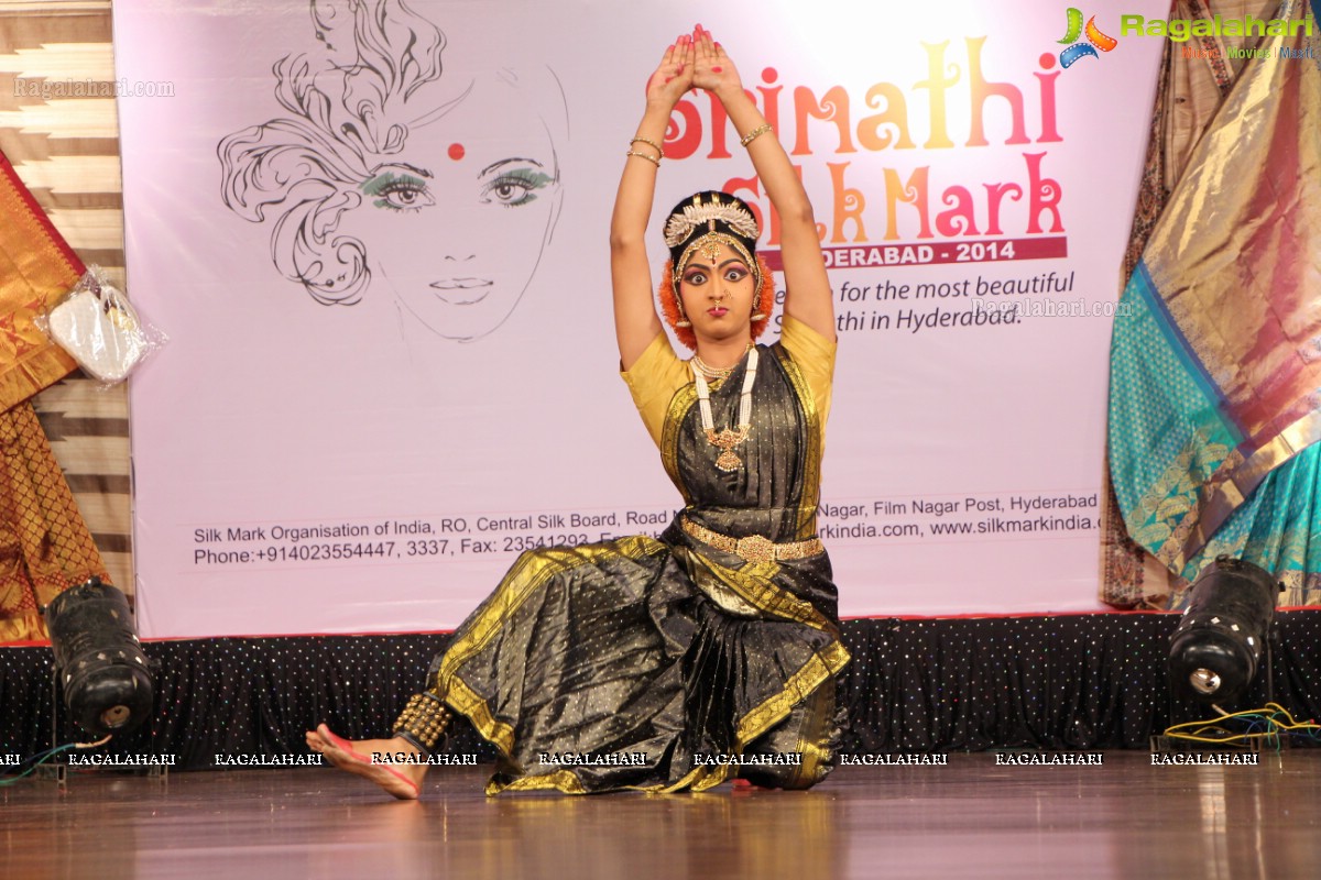 Srimathi Silk Mark 2014 Grand Finale, Hyderabad