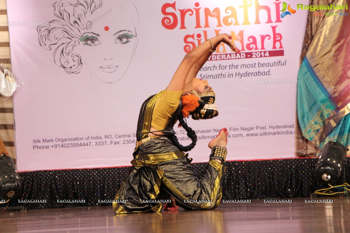 Srimathi Silk Mark 2014 Grand Finale, Hyderabad