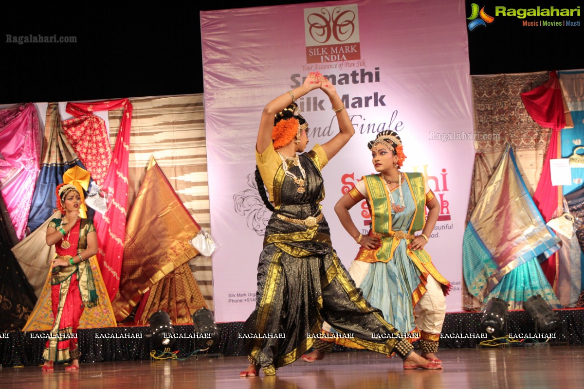 Srimathi Silk Mark 2014 Grand Finale, Hyderabad