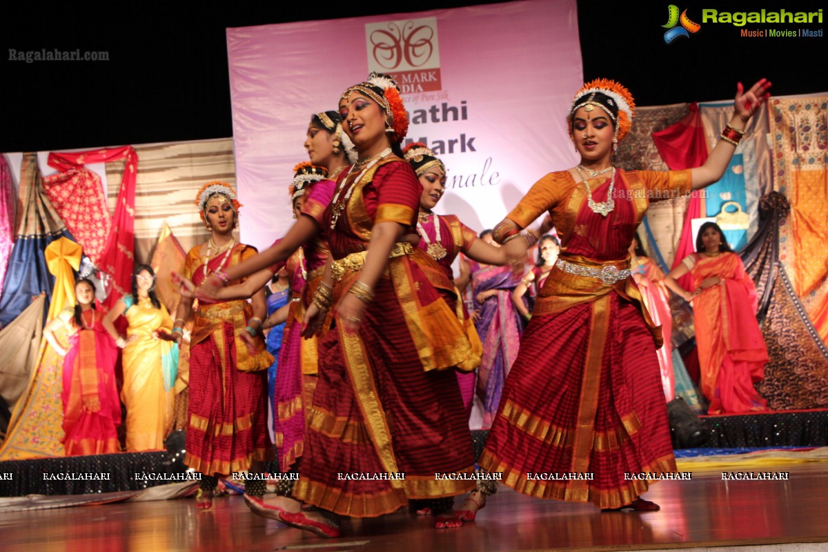 Srimathi Silk Mark 2014 Grand Finale, Hyderabad