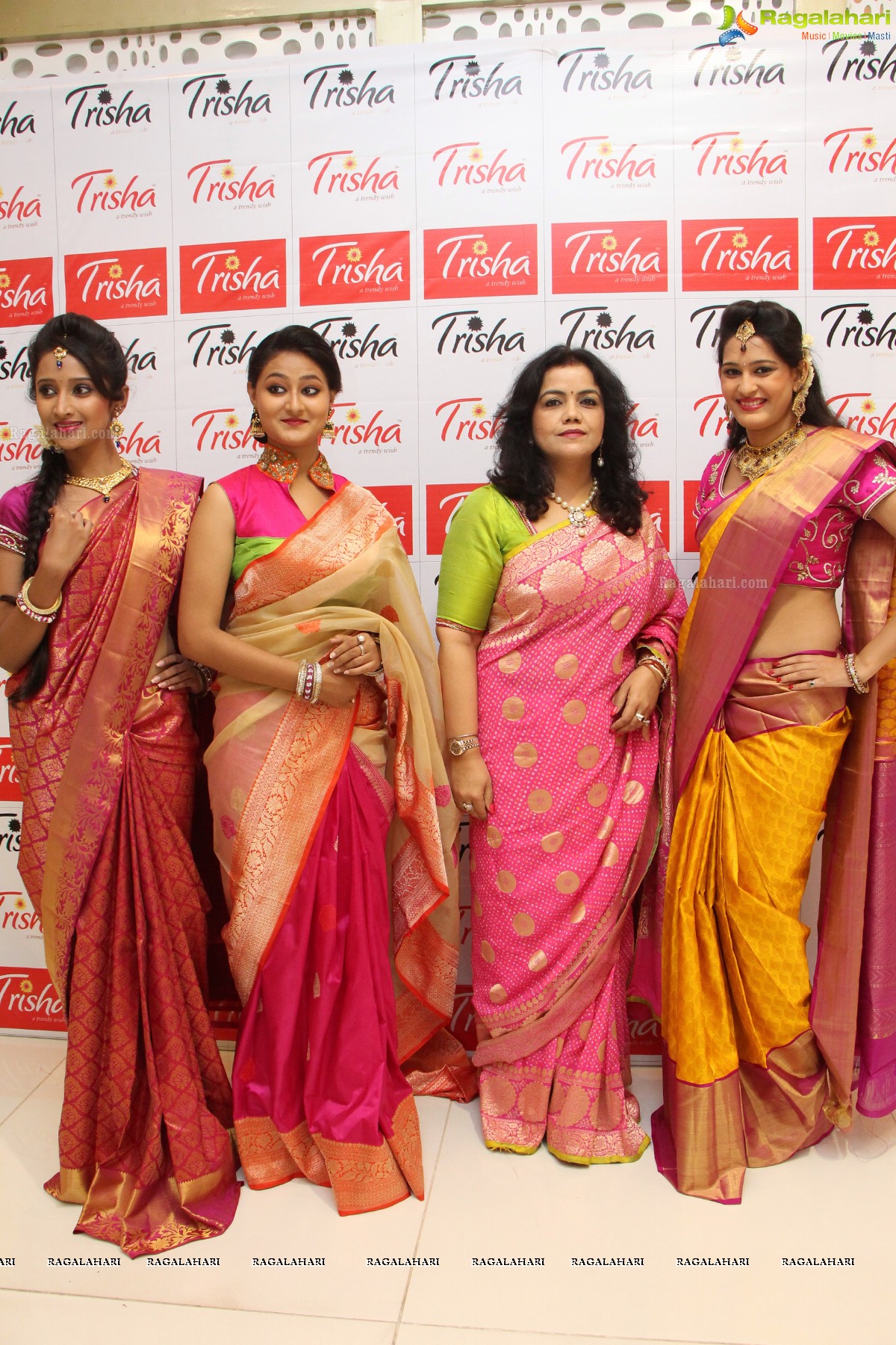 Trisha Navaratri & Dusshera Special Collection 2014 Launch