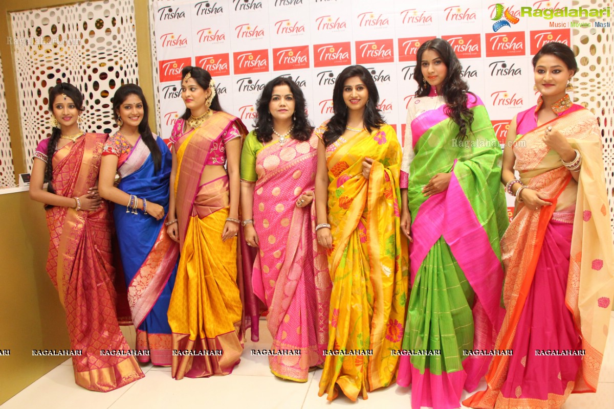 Trisha Navaratri & Dusshera Special Collection 2014 Launch