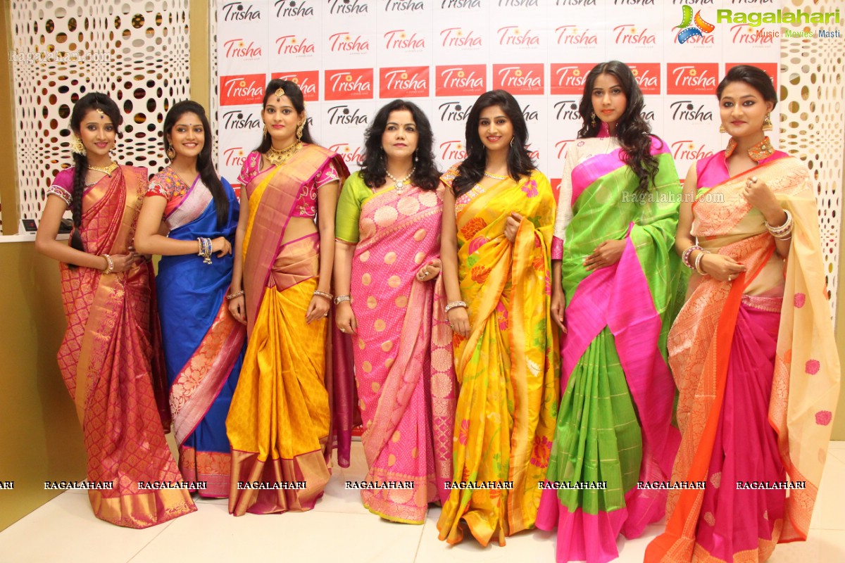 Trisha Navaratri & Dusshera Special Collection 2014 Launch