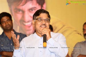 Bhale Bhale Magadivoy Success Meet