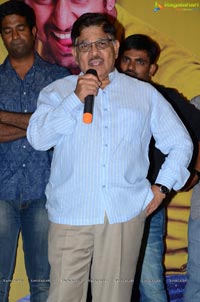 Bhale Bhale Magadivoy Success Meet