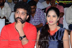 Bhale Bhale Magadivoy Success Meet