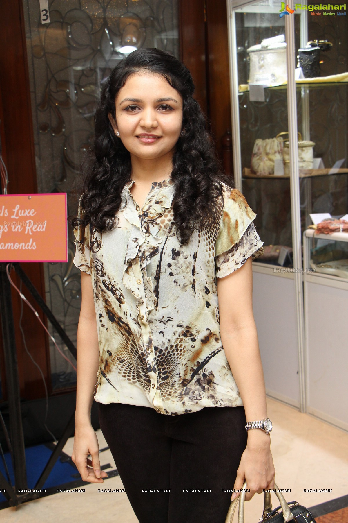 Araaish Exhibition at Taj Krishna, Hyderabad