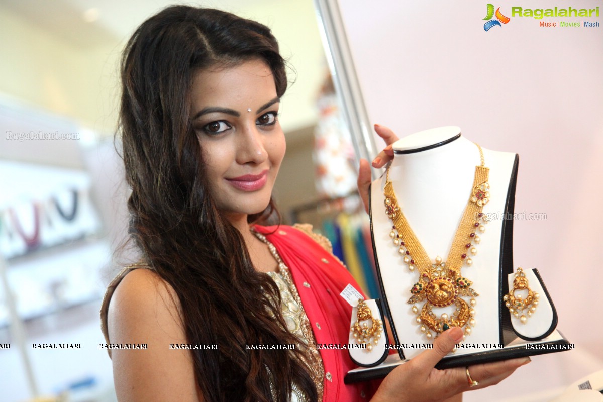 Diksha Panth inaugurates Fashion Fiesta 2015 at Novotel, Vizag