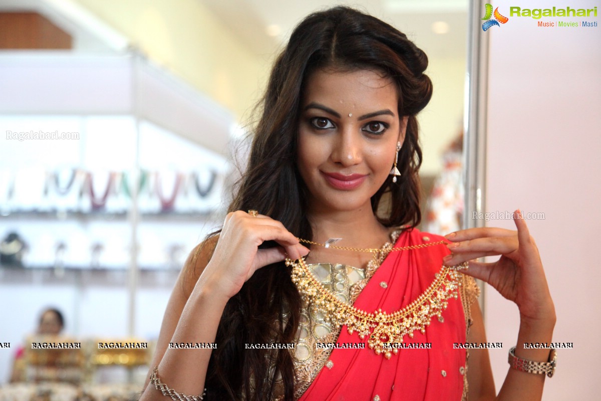 Diksha Panth inaugurates Fashion Fiesta 2015 at Novotel, Vizag