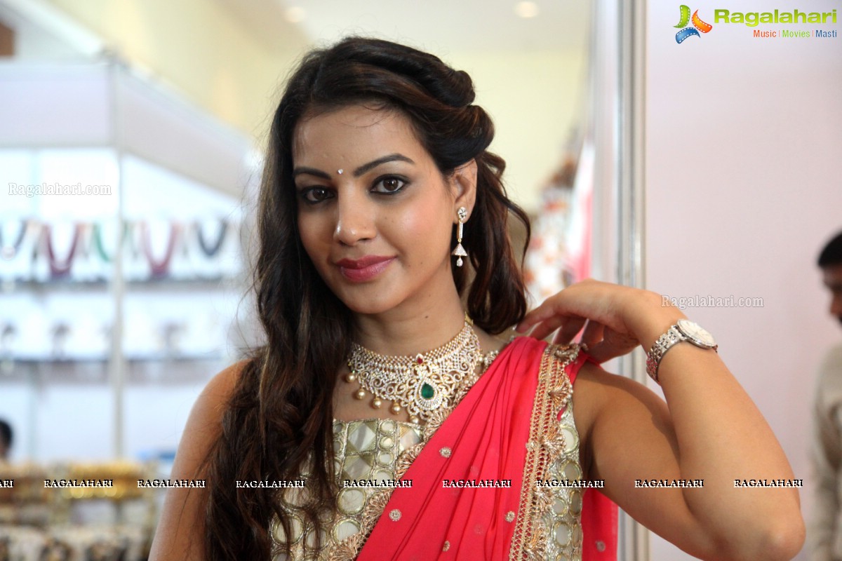 Diksha Panth inaugurates Fashion Fiesta 2015 at Novotel, Vizag