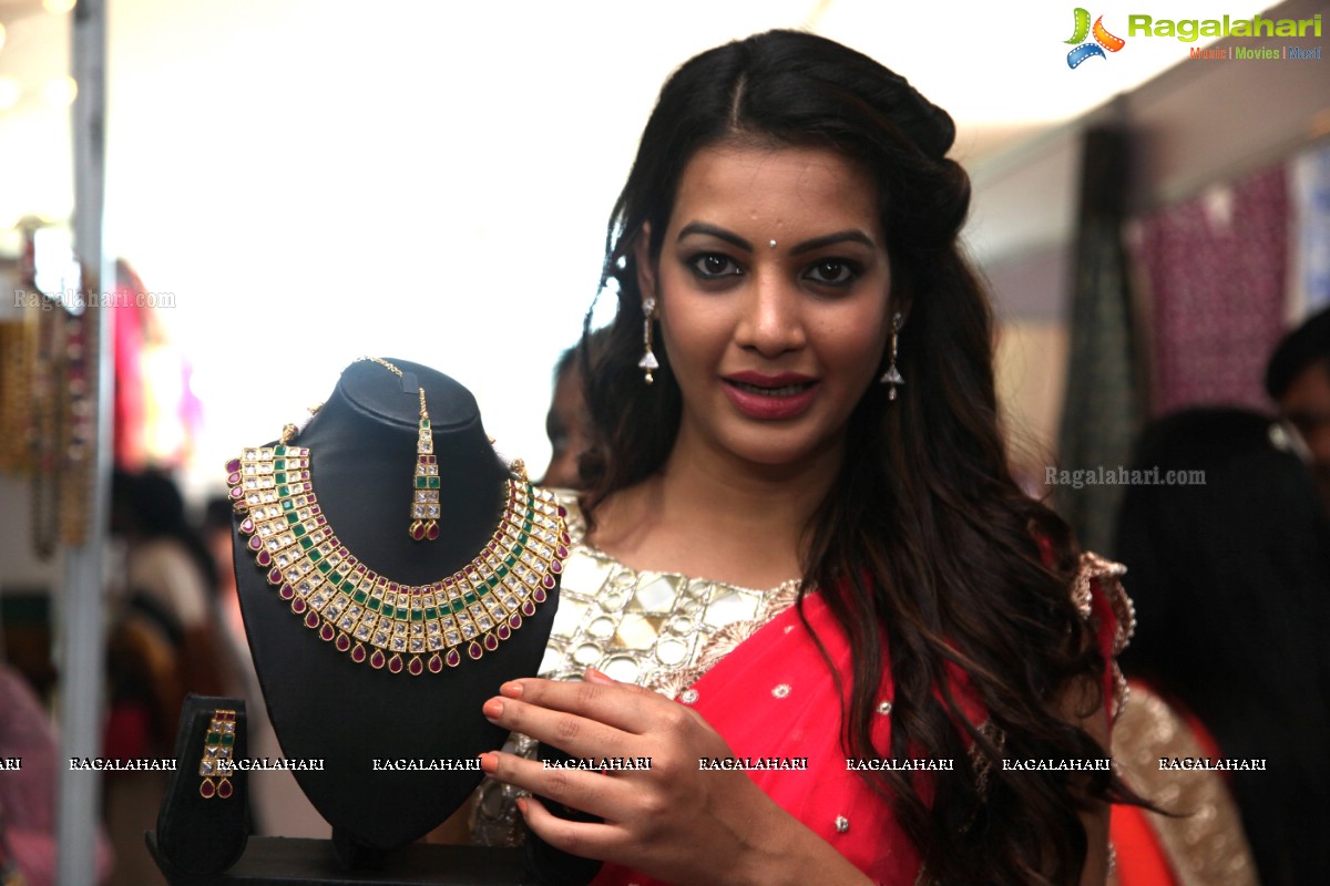 Diksha Panth inaugurates Fashion Fiesta 2015 at Novotel, Vizag