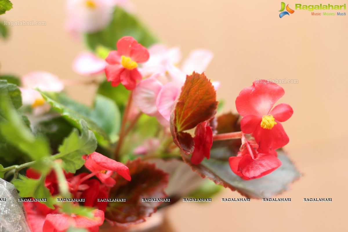 Festivals of India - Poola Panduga by Ikebana International Hyderabad Chapter