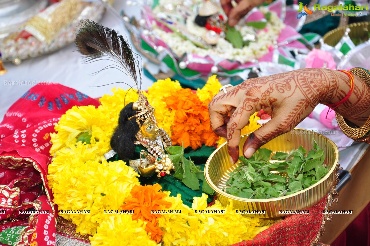 Pre Janmashtami Utsav Celeberation with Tulsi Archana and Day Out Picnic of Natkhat Ladoo Ji - Hosted by Bhuraria Family