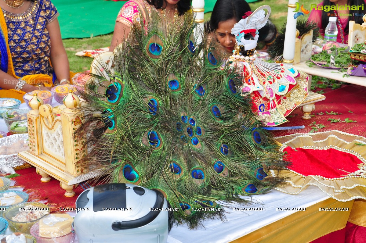 Pre Janmashtami Utsav Celeberation with Tulsi Archana and Day Out Picnic of Natkhat Ladoo Ji - Hosted by Bhuraria Family