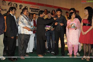 Ramdev Audio Release