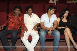 Ramdev Audio Release