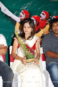 Saarai Veerraju Audio Release