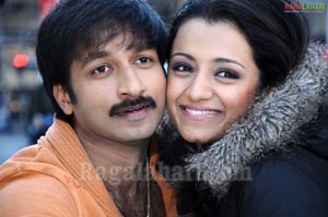 Gopichand, Trisha