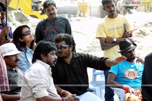 Chapter 6 Working Stills